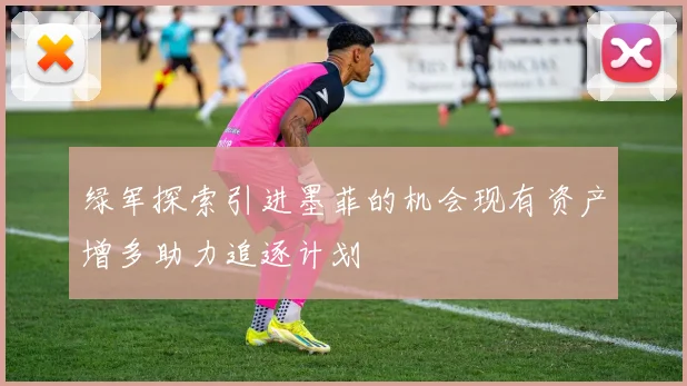 绿军探索引进墨菲的机会现有资产增多助力追逐计划