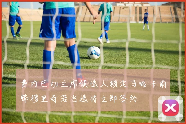 费内巴切主席候选人锁定马略卡前锋穆里奇若当选将立即签约
