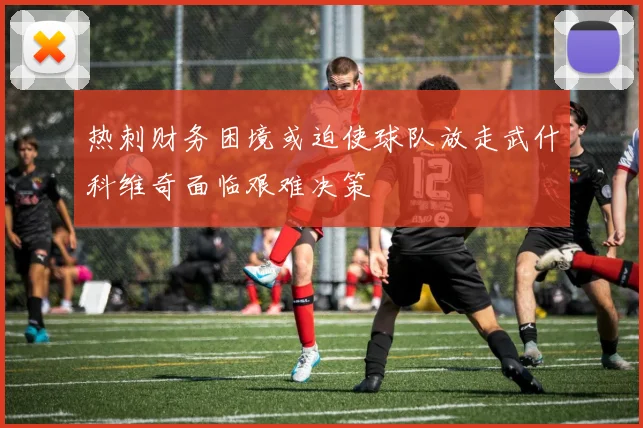 热刺财务困境或迫使球队放走武什科维奇面临艰难决策